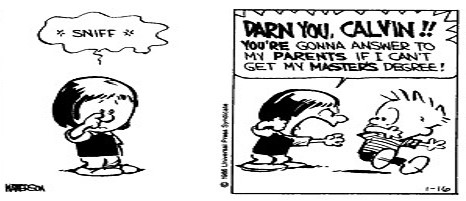 Calvin and Hobbs comic strip